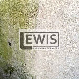 Softwash exterior cleaning technique removing algae and grime from render in Cardiff
