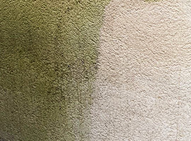 Before and after render chemical softwash cleaning in Cardiff